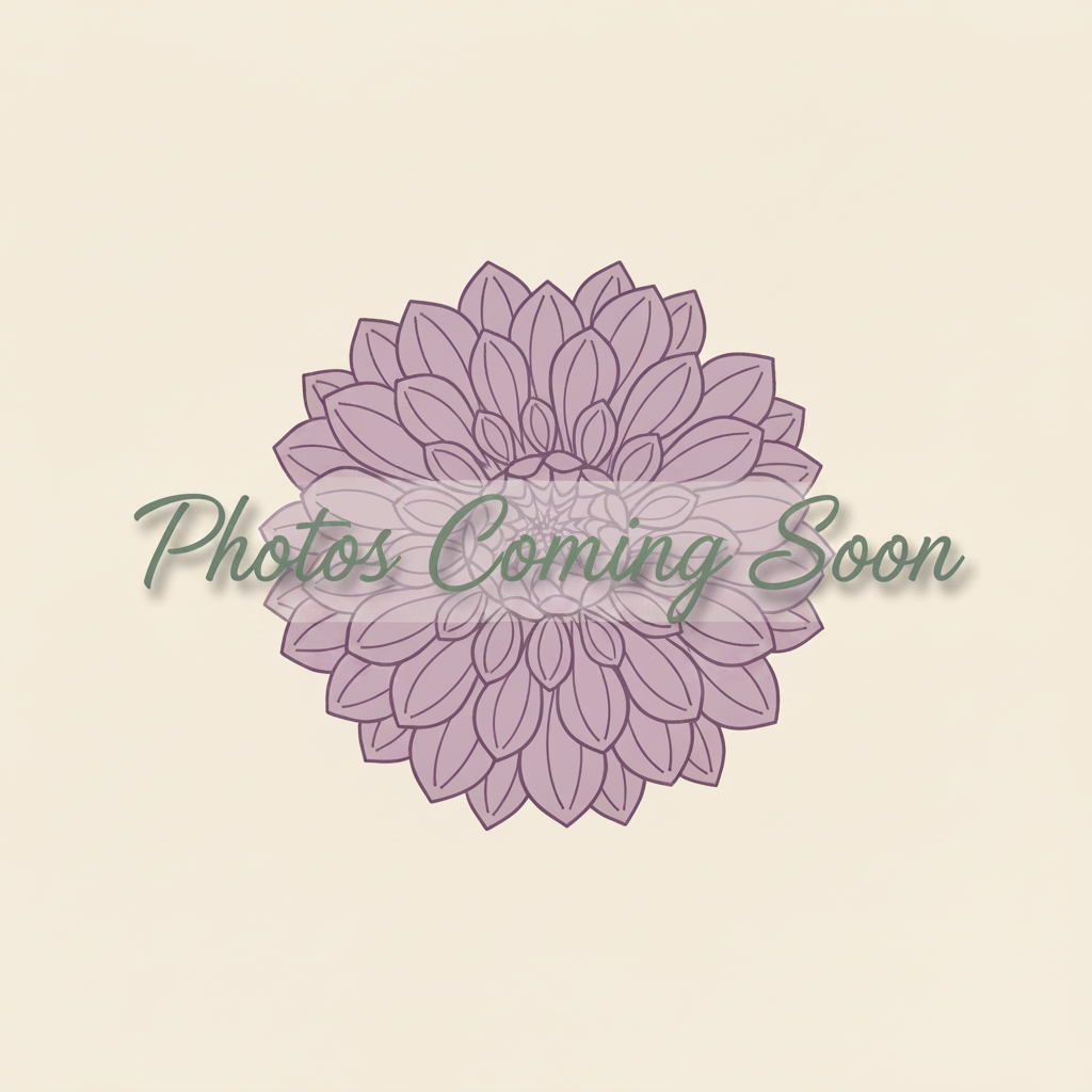 Magic Valley Flowers Placeholder v5